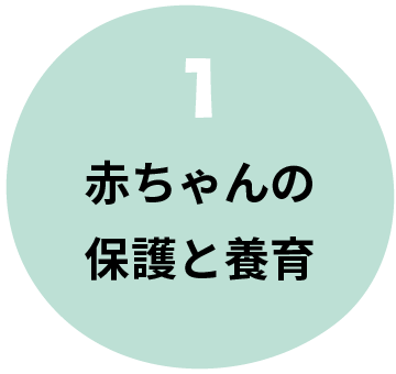 赤ちゃんの保護と養育